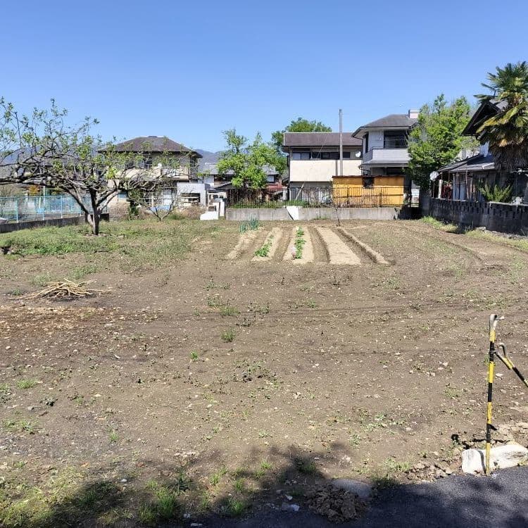 大坪